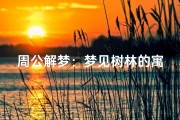 周公解梦：梦见树林的寓意与解析