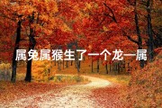 属兔属猴生了一个龙—属兔属猴喜得龙宝宝