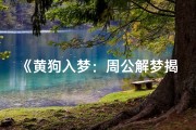 《黄狗入梦：周公解梦揭示吉凶之谜》