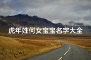 虎年姓何女宝宝名字大全