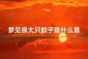 梦见很大只蚊子是什么意思,梦到很大的蚊子是什么意思