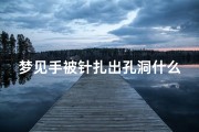 梦见手被针扎出孔洞什么意思_梦见手被针扎出孔洞什么意思呀