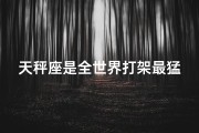 天秤座是全世界打架最猛的吗女生,《天秤：全球战斗力巅峰之谜》