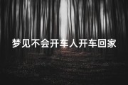 梦见不会开车人开车回家、不会开车梦见自己开车回家