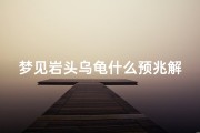 梦见岩头乌龟什么预兆解梦、梦见岩石是什么预兆