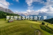 梦见想去农村生活了-梦见自己去乡村