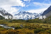 属牛跟属龙合不合—属牛属龙情缘深，天生一对佳偶配