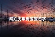 秦姓虎年男宝宝名字