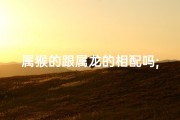 属猴的跟属龙的相配吗;属猴属龙能配吗？生肖相合揭秘