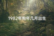 1982年狗年几月出生的人命运佳