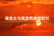 属兔女与属龙男婚姻配对解析