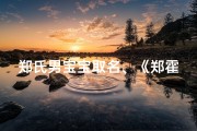 郑氏男宝宝取名、《郑霍宝宝：寓意吉祥的男孩名字精选》