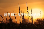 腊月初二儿子的大婚吉日(腊月初二喜结良缘，儿子大婚吉日庆典)