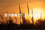 双子座魅力：让人无法抗拒的喜欢
