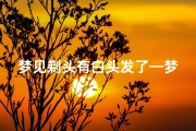 梦见剃头有白头发了—梦见有白头发然后剪掉