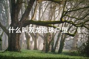 什么叫双龙抱珠户型、《双龙抱珠吉凶口诀图赏：解读神秘文化内涵》