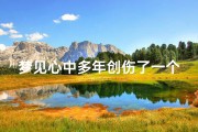 梦见心中多年创伤了一个人、梦到了伤自己心的人
