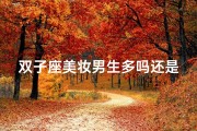 双子座美妆男生多吗还是女生多_《双子美妆圈：男生魅力还是女生风头更盛？》
