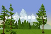 明年龙年是否生孩子吉日