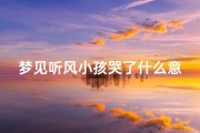 梦见听风小孩哭了什么意思—梦见听见小孩哭是什么意思