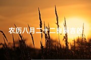 农历八月二十二良辰吉凶(农历八月二十二良辰吉凶如何)