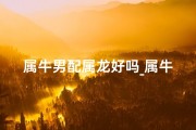属牛男配属龙好吗_属牛男与属龙女：姻缘相配还是八字不合？