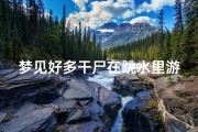 梦见好多干尸在跳水里游泳(梦到很多死尸在水里)