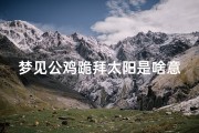 梦见公鸡跪拜太阳是啥意思_梦见大公鸡向我扑来
