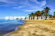 梦见在水里追打老鼠好不好—梦见在水里捉老鼠是什么意思