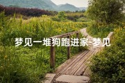 梦见一堆狗跑进家-梦见一堆狗在家