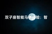 双子座智能马桶体验：智能生活新选择