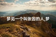 梦见一个叫张因的人,梦到姓张的人