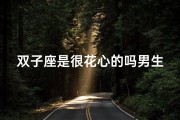 双子座是很花心的吗男生-双子座男生：花心还是多情？