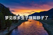 梦见很多虫子缠脚脖子了(梦到虫子缠脖子上是什么意思)