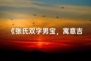 《张氏双字男宝，寓意吉祥成长路》
