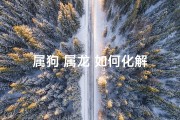 属狗 属龙 如何化解