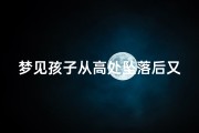梦见孩子从高处坠落后又掉水里、梦见孩子从高处坠落后又掉水里了