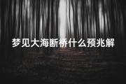 梦见大海断桥什么预兆解梦—梦见跨海大桥断了