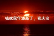 钱家鼠年添新丁，喜庆宝宝美名来