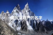 男宝宝姓严的名字