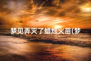 梦见弄灭了蜡烛火苗(梦见燃烧的蜡烛灭了)