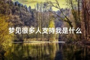 梦见很多人支持我是什么意思_梦见很多人支持我是什么意思啊