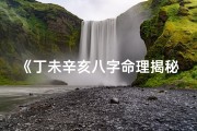 《丁未辛亥八字命理揭秘：人生运势深度解析》