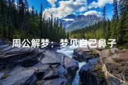 周公解梦：梦见自己鼻子流血的深层含义