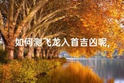 如何测飞龙入首吉凶呢,飞龙入海是什么意思