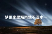 梦见家里漏雨地不湿水—梦见家里漏雨地不湿水啥意思