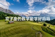 双子座的数学能学好吗吗—双子座数学天赋：能学好吗？