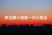 梦见孵小鸡有一只小鸡没孵出来—梦见孵出了一只小鸡