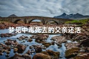 梦见中毒死去的父亲还活着,梦见自己死了父亲又死了什么意思？