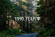 1991.11.1八字命理_1991.11.9什么八字